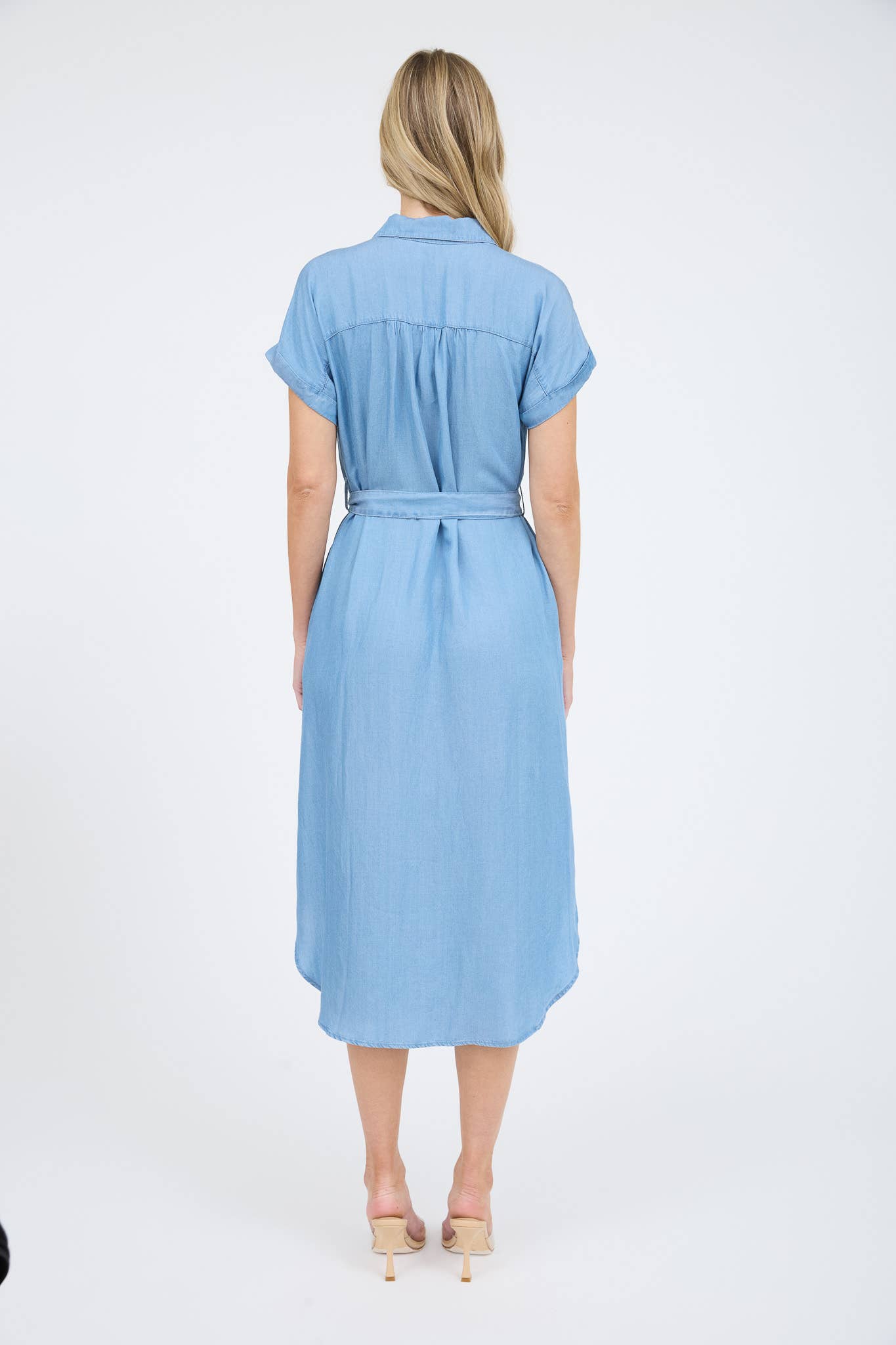 Chambray Belted Button Down Dress