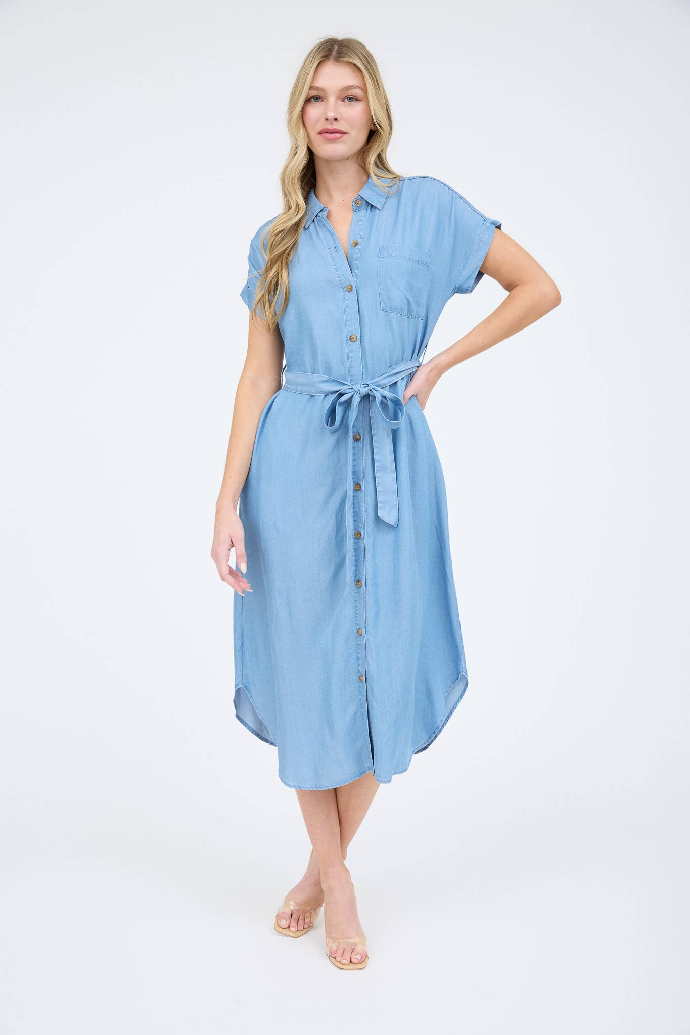 Chambray Belted Button Down Dress