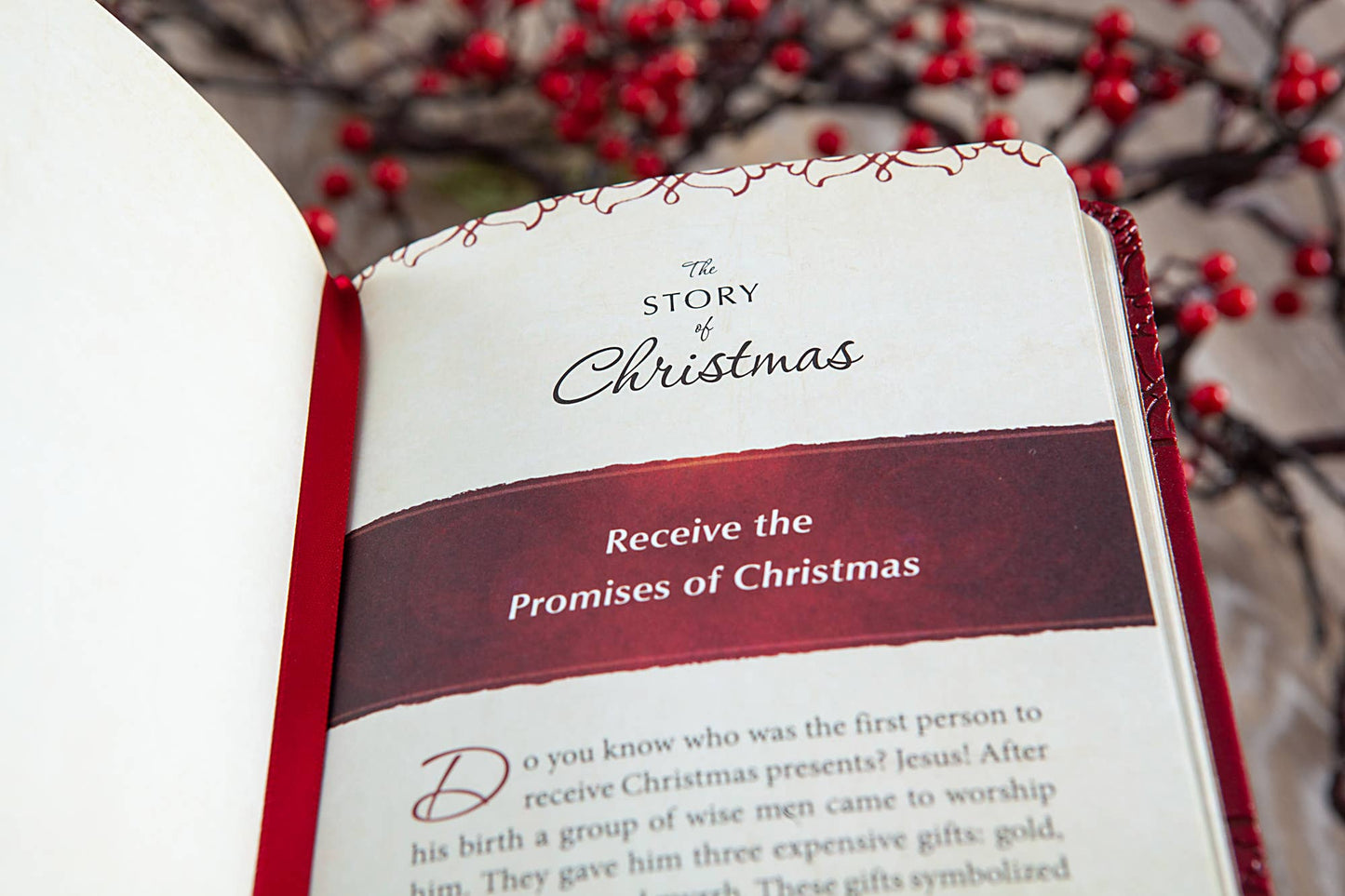 The Story of Christmas- Devotional