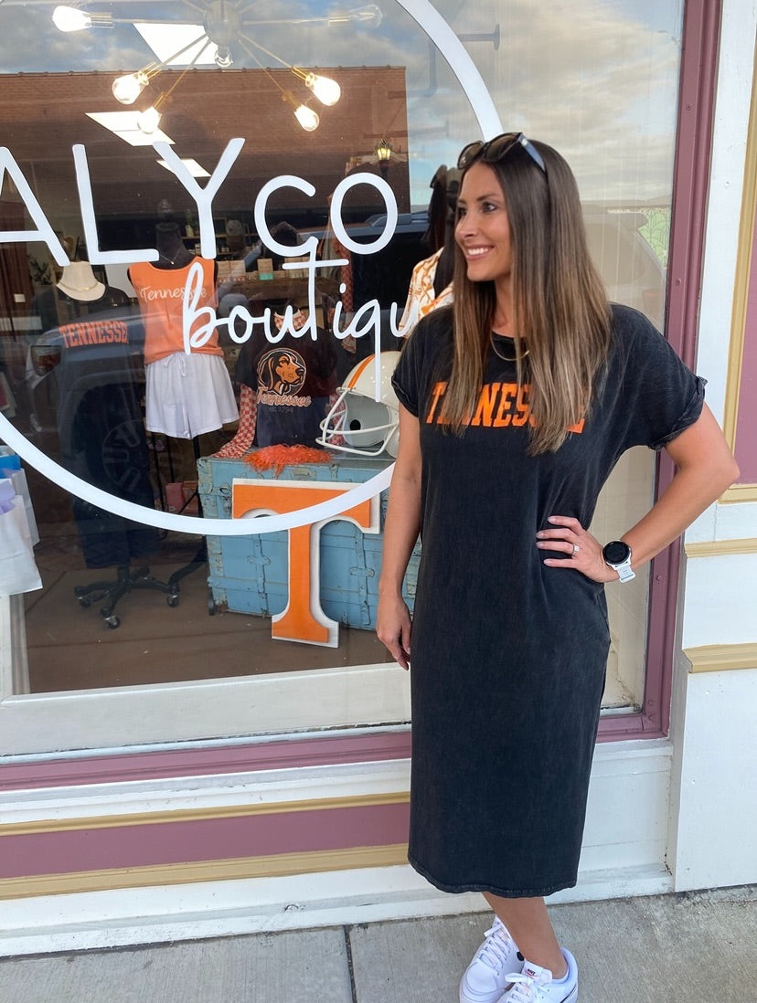 Tennessee Mineral Graphic Dress