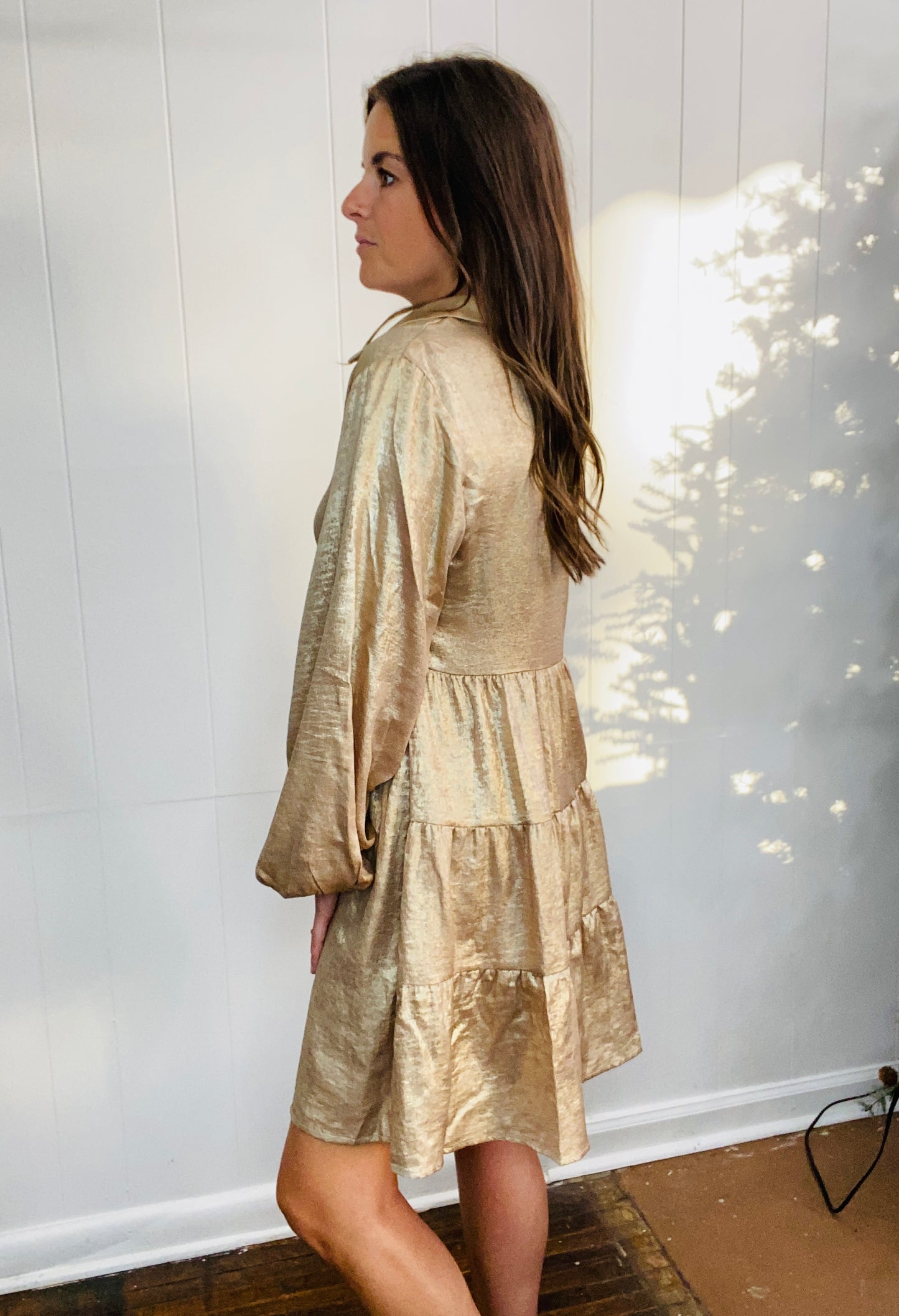 A Metallic Holiday Dress